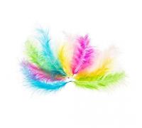 Plumes de dinde 10-15cm pastel