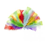 Plumes de dinde 10-15cm pastel