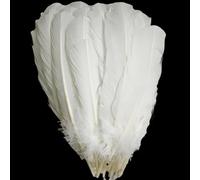 Plumes de dinde blanches, longues plumes naturelles, 25 à 30 cm, plumes bilatérales de grande taille, ailes gauche et droite pour l'artisanat, lot de 24 pièces (dinde blanche)