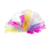 Plumes de dinde coupées au pastel 10-15cm