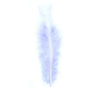 Plumes de dinde lilas