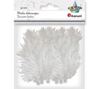 Plumes de duvet de dinde 9-15cm blanc 50pcs