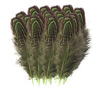 Plumes de Faisan, 100pcs Naturelles Plumes Faisan de Naturelles Plumes Faisan de 5-8cm Plume Artificielle Plumes de Faisan pour Chapeaux de Cheveux Décoration de Fête de Mariage à la Maison Vert Clair