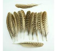 Plumes de faisan naturelles de 15 à 18 cm pour loisirs créatifs, accessoires de costumes faits main de qualité supérieure, montage de mouches et décoration de mariage, en vrac, couleur naturell