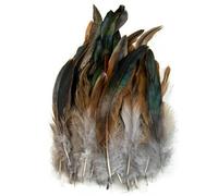 Plumes de faisan naturelles de 15 à 20 cm, accessoires de carnaval, 50 pièces/lot, plumes de poulet, bijoux artisanaux, décoration, plumes grises, 15 à 20 cm