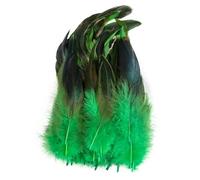 Plumes de faisan naturelles de 15 à 20 cm pour loisirs créatifs, accessoires de carnaval et bricolage (lot de 50). Plumes vertes, vertes, 15 à 20 cm.