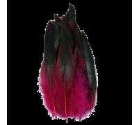 Plumes de faisan naturelles de 15 à 20 cm pour loisirs créatifs, accessoires de carnaval et bricolage (lot de 50). Plumes de poulet, plumets décoratifs pour bijoux et artisanat. Couleur : rouge vin.