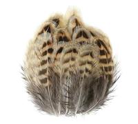 Plumes de faisan naturelles de 3 à 10 cm, petites plumes de poulet, pour loisirs créatifs, création de bijoux, décorations de carnaval, d'Halloween et de Noël - Lot de 20