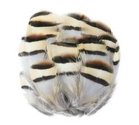 Plumes de faisan naturelles de 3 à 10 cm, petites plumes de poulet, pour loisirs créatifs, création de bijoux, décorations de carnaval, d'Halloween et de Noël - Lot de 20