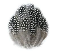 Plumes de faisan naturelles de 3 à 10 cm, petites plumes de poulet, pour loisirs créatifs, création de bijoux, décorations de carnaval, d'Halloween et de Noël - Lot de 20