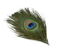 Plumes de faisan naturelles en gros, plumes de paon et d'aigle, petites plumes pour l'artisanat, la création de bijoux et la décoration de fêtes - 10-15 cm - 100 pièces