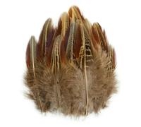 Plumes de faisan naturelles en gros, plumes de paon, plumes d'aigle, petites plumes, accessoires artisanaux, création de bijoux, décoration de fêtes - 3-7 cm - 500 pièces