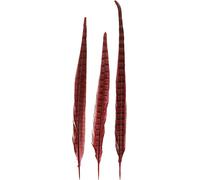 Plumes de faisan Rouge Véritable Décoration Naturelle 35-45cm 9pcs