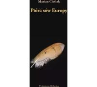 Plumes de hibou d'Europe