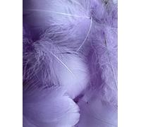 Plumes de lavande, paquet de 100