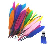 Plumes de Macarons - Plumes pour travaux manuels | 50 plumes colorées | Plumes naturelles de 4 à 6 pouces pour vase de bricolage | Plumes de coq colorées pour travaux manuels | Plumes de co