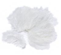 Plumes de marabout VBS, env. 15 pc. Blanc métallisé