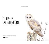 Plumes de mystère: Sur le chemin des chouettes et hiboux