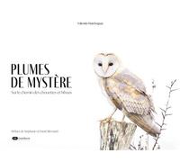 Plumes de mystère Sur le chemin des chouettes et hiboux - Valentin Marcheguay - Dashbook - relié - Beau livre