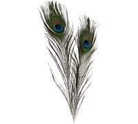 Creativ Company – Plumes de paon