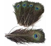 Plumes de paon, environ 25-30 cm, 10 pièces