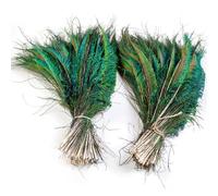 Plumes de Paon, Plumes de Paon Multicolores 30-35 cm, Lot de 10 à 100 pièces for travaux manuels et décoration(30 PCS)