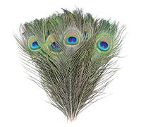 Plumes de paon : plumes d'oeil de queue naturelles pour les décorations artisanales DIY 50 pièces