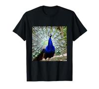 Plumes de Paon pour Jardin, Faune et Oiseaux T-Shirt