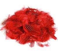 Plumes de pintade Déco Rouge 30g Faraona Teintées pour une décoration élégante de printemps et de Pâques