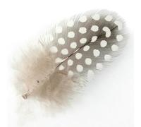 Plumes de pintade, perles de poulet, 5 à 10 cm, pour travaux manuels, décoration d'intérieur, bijoux, boucles d'oreilles, accessoires de coiffure, turquoise tacheté, naturel, 10 pièces