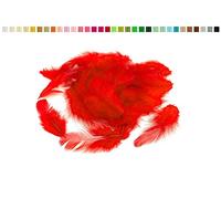 Plumes décoratives - 5 g - 5 à 10 cm - Plumes de poule, marabout - Plumes de parure Rot 250