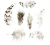 Plumes décoratives naturelles 5,5-10cm 10g pour bricoler & décorer