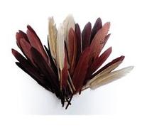 Plumes d'indien camaieu chocolat sachet 10g 15cm - graine créative Marron G