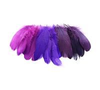 Plumes d'indien - camaieu de violet - 14-21cm, 15 pcs