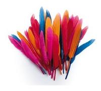 Plumes d'indien coloris assortis sachet 10g 15cm - graine créative Multicolore - assort. G