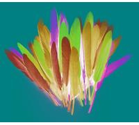 Plumes D'indien Pour Activités Enfant Assortiment 15cm