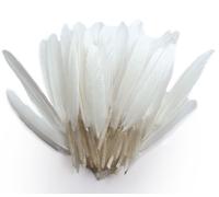 Plumes D'indien Pour Activités Enfant Blanches 15cm