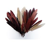 Plumes D'indien Pour Activités Enfant Camaieu Chocolat 15cm