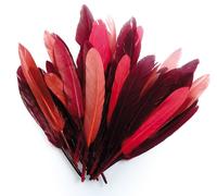 Plumes D'indien Pour Activités Enfant Camaieu Rouge 15cm