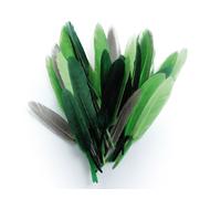 Plumes D'indien Pour Activités Enfant Camaieu Vert 15cm