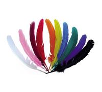Plumes D'indien Pour Activités Manuelles Enfant Assortiment 10 Pièces