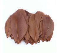 Plumes d'oie colorées en vrac 5-8 cm, mini plumes naturelles pour loisirs créatifs, fabrication de bijoux, attrape-rêves, pendentif, plume décorative - Café - 200 pièces