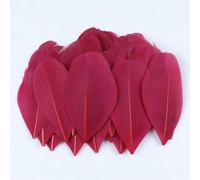 Plumes d'oie colorées en vrac 5-8 cm mini plumes naturelles pour loisirs créatifs, fabrication de bijoux, attrape-rêves, pendentif, plume décorative - Rouge vin - 200 pièces