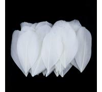 Plumes d'oie colorées en vrac 5-8 cm, mini plumes naturelles pour loisirs créatifs, fabrication de bijoux, attrape-rêves, pendentif, plume décorative - Blanc - 100 pièces
