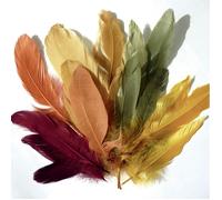 MegaCrea Plumes d'oie Coloris Automne 15 g Multicolore