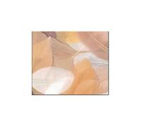 Plumes d'oie coupées - Camaïeu - Beige - Sachet de 10g - Longueur 6 cm