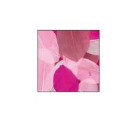 Plumes d'oie coupées - Camaïeu Rose - Sachet de 10g - Longueur 6 cm