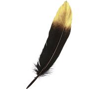Plumes d'oie Déco Noir Or 15-20cm Haute qualité Véritables plumes pour la décoration et l'artisanat Set de luxe 50pcs