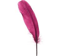 Plumes d'oie décoratives Bourgogne Loisirs créatifs 40g