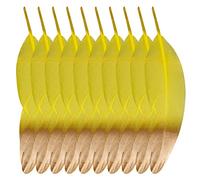 Plumes d'oie naturelles - Plumes colorées dorées - Accessoires de bricolage - Accessoires de bricolage pour bricolage - Chapeaux - Masques - Bricolage - Décoration d'Halloween - Carnaval - Mariage